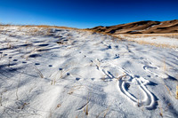 _41A8631-Edit