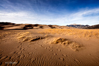 _41A8606-Edit
