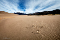 _41A8565-Edit
