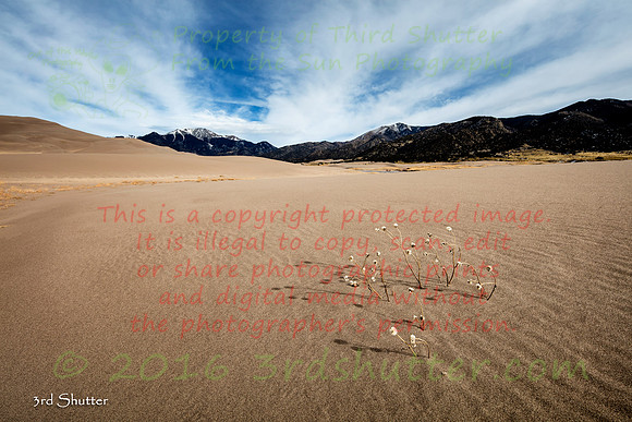 _41A8565-Edit