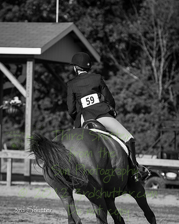 3Z6C3666