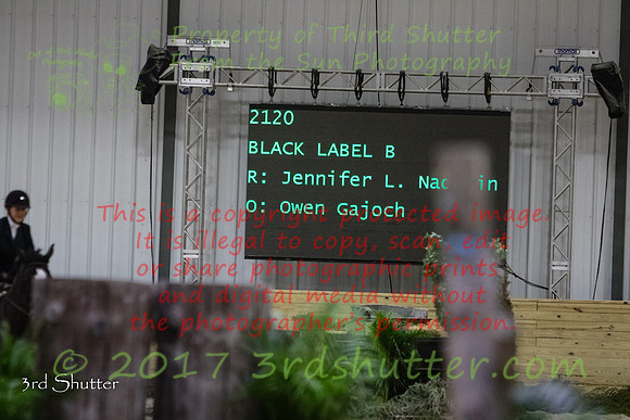 0E5A8353