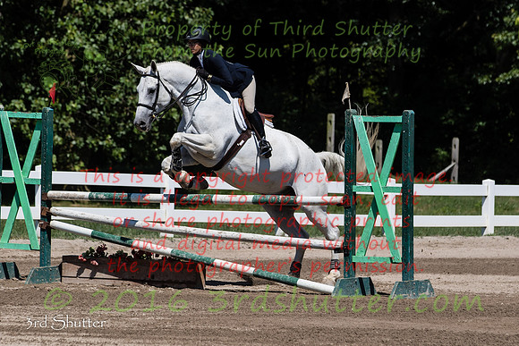 BV2A4513
