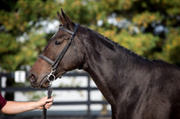 F43Q1272