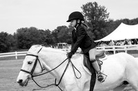_DSC8733