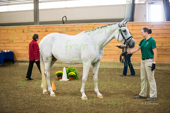 F43Q8776