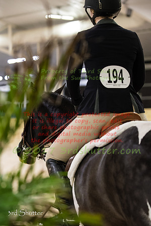 _1SF1324