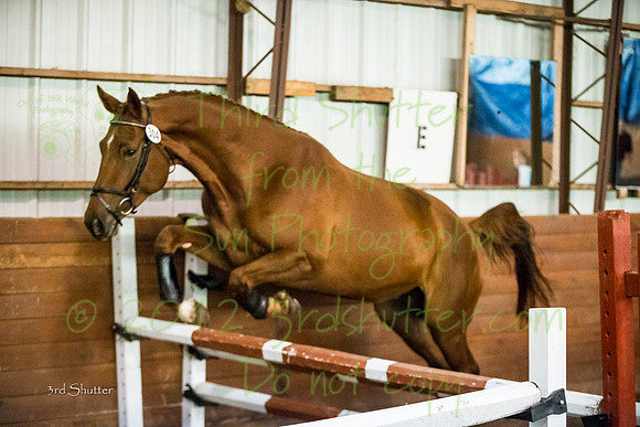 F43Q1167