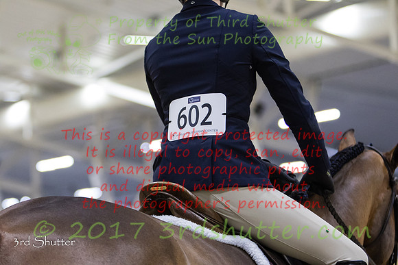 0E5A3732