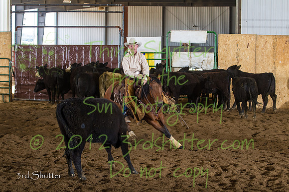 BN1C3633