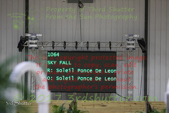 0E5A8649