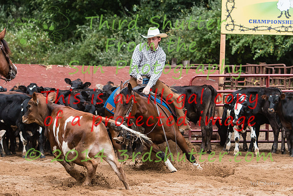 IMG_7334