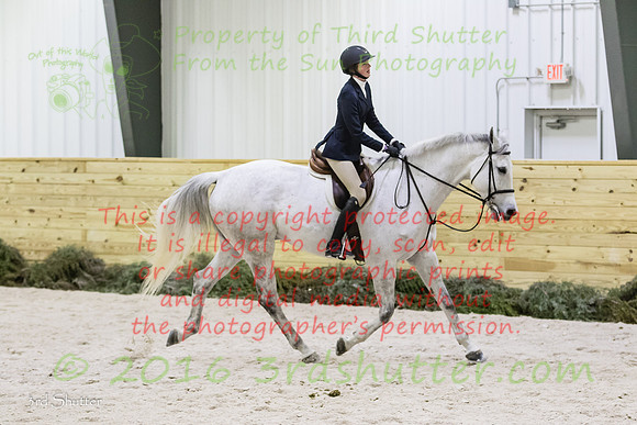 BV2A1206