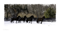 Painting The Farm_0B2D0072-Rev2
