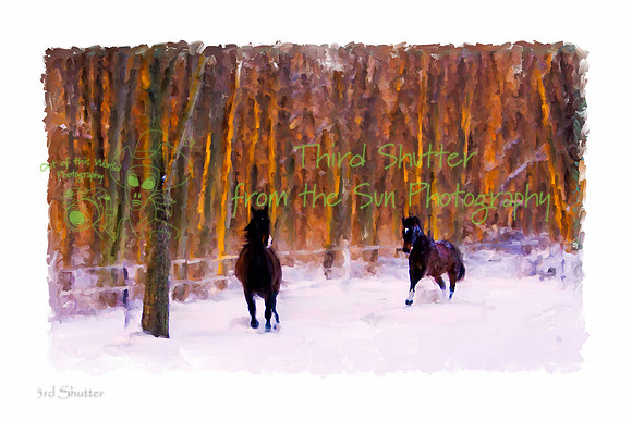 Painting_0B2D9701 rev 2 - Print Canvas