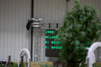 0E5A5486