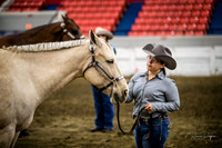 Halter - AQHA Novice Amtr Showmanship