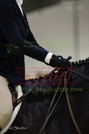 SF1_3777