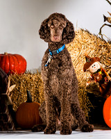 IMG_1915-Edit