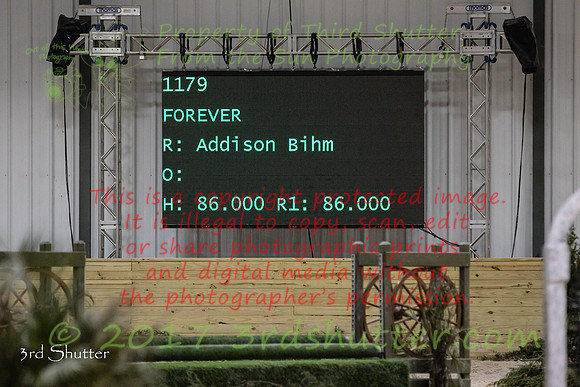 BV2A9253