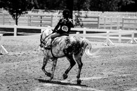IMG_3468