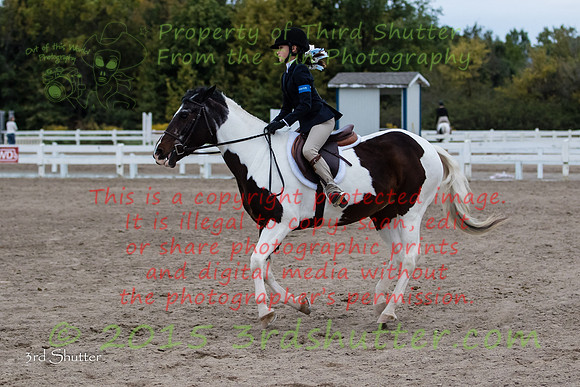 BV2A7618