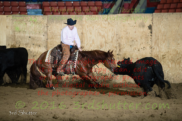 A18I3303