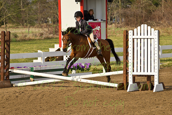 BN1C1184