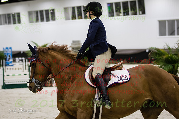 BV2A9420