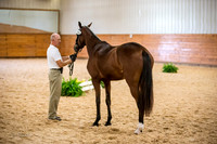 F43Q3444