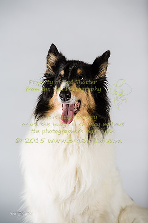 _J8A9906
