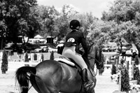IMG_7379