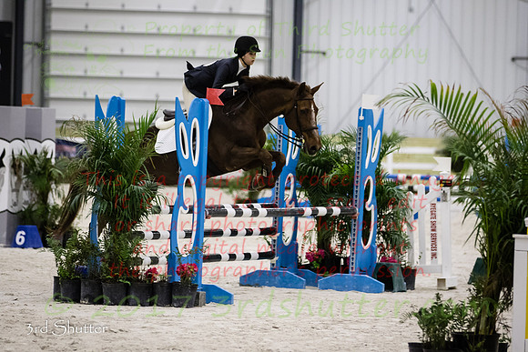 BV2A1681