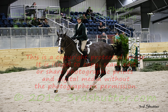_1SF2014