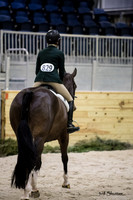 _1SF2012