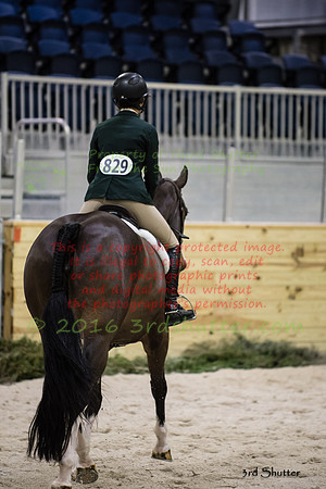 _1SF2012