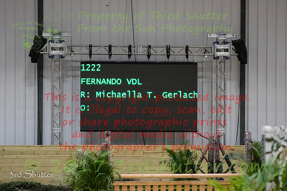0M3A2841