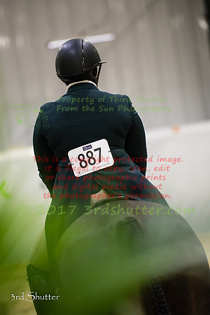 _1SF0699