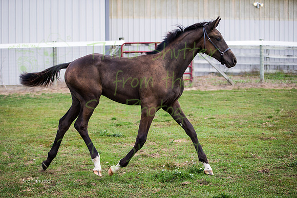 F43Q9449-2