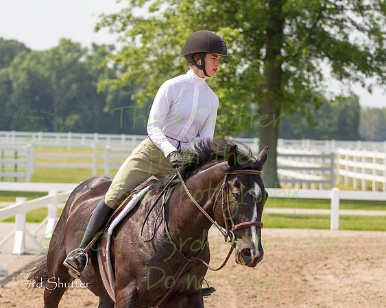 BN1C6378