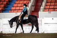 Western Pleasure - AQHA Novice Youth