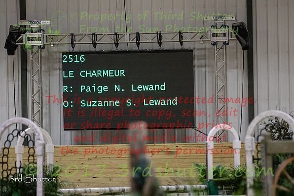 BV2A7919