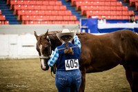 Halter - AQHA Amtr Weanling Geldings