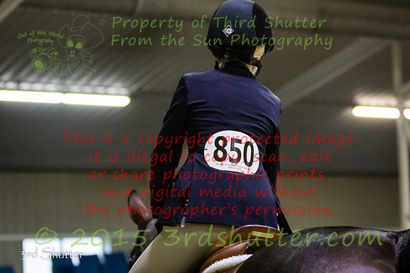0E5A3930