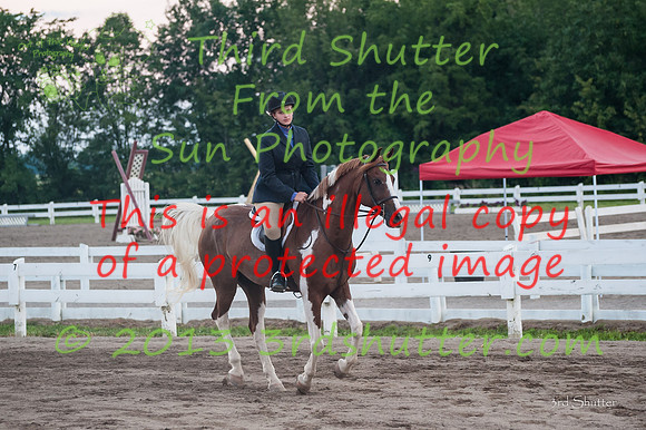 130817_WalkTrotClassic_0532