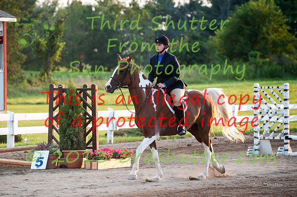 130817_WalkTrotClassic_0390