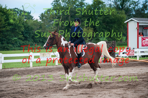 130817_WalkTrotClassic_0536