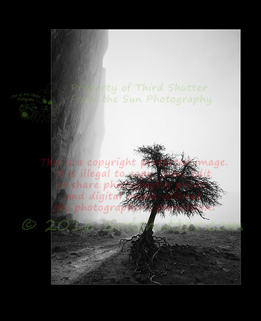 Mistical_Mourning_Solitude