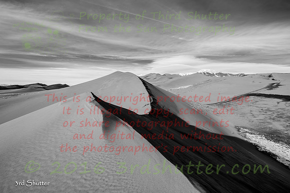 _41A8773-2