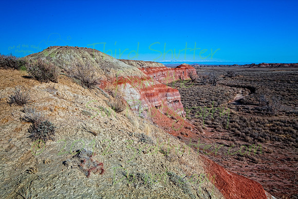 _MG_2897-Edit